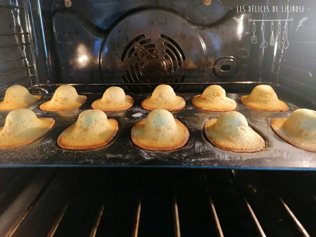 Madeleines moelleuses au four